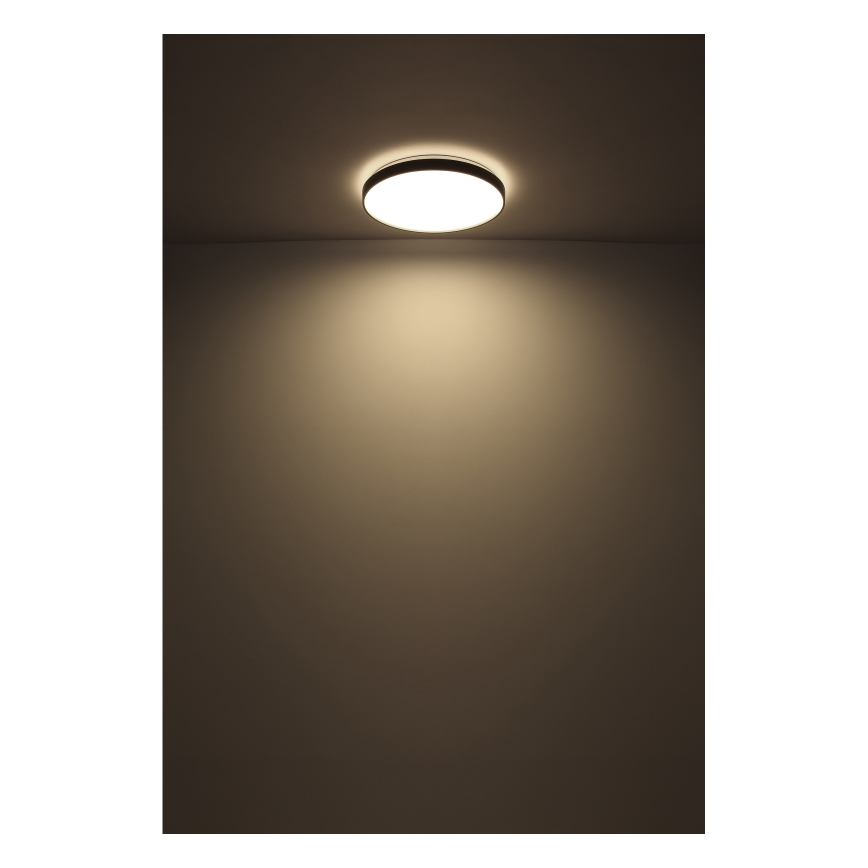 Globo - LED Stropna svjetiljka LED/24W/230V