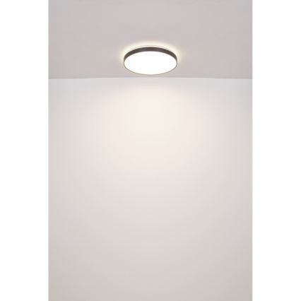 Globo - LED Stropna svjetiljka LED/24W/230V