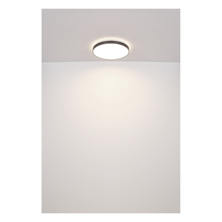 Globo - LED Stropna svjetiljka LED/24W/230V