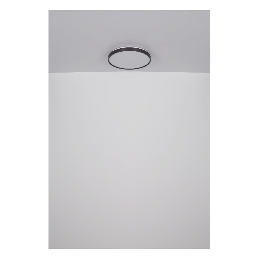 Globo - LED Stropna svjetiljka LED/24W/230V