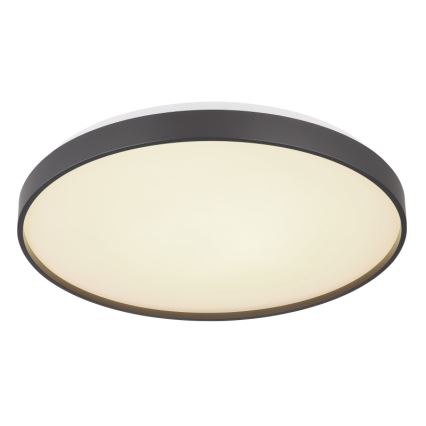 Globo - LED Stropna svjetiljka LED/24W/230V
