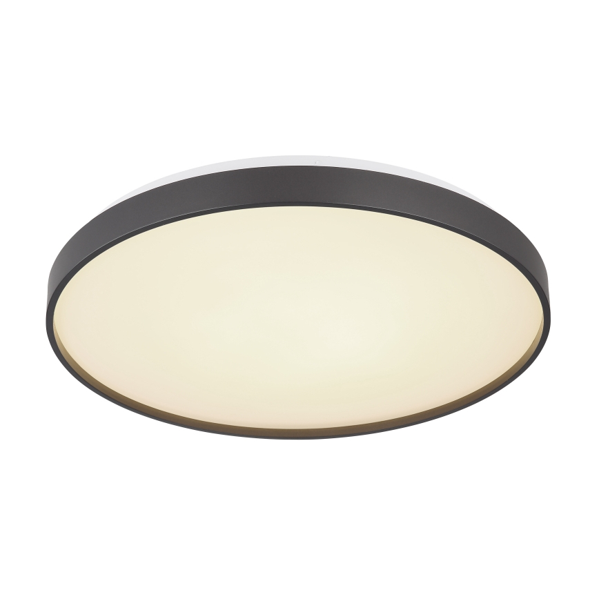Globo - LED Stropna svjetiljka LED/24W/230V