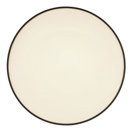 Globo - LED Stropna svjetiljka LED/24W/230V