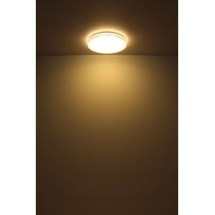Globo - LED Stropna svjetiljka LED/24W/230V pr. 49,5 cm bijela