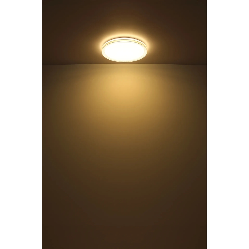 Globo - LED Stropna svjetiljka LED/24W/230V pr. 49,5 cm bijela