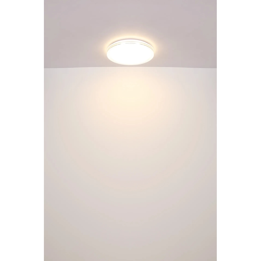 Globo - LED Stropna svjetiljka LED/24W/230V pr. 49,5 cm bijela