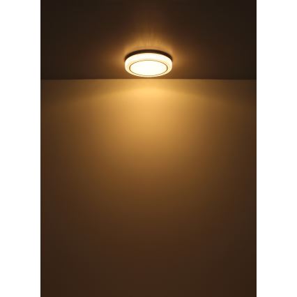 Globo - LED Stropna svjetiljka LED/24W/230V pr. 40 cm 3000K bijela