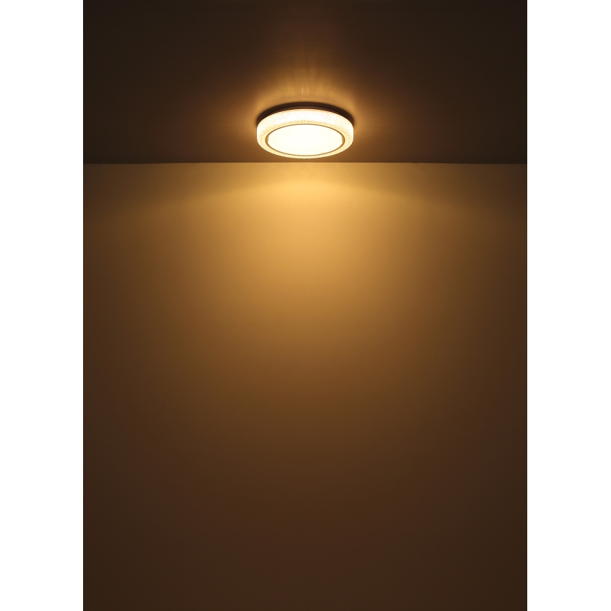 Globo - LED Stropna svjetiljka LED/24W/230V pr. 40 cm 3000K bijela