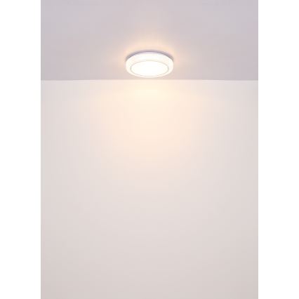 Globo - LED Stropna svjetiljka LED/24W/230V pr. 40 cm 3000K bijela