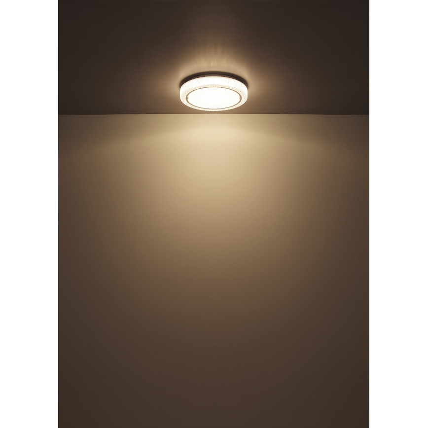 Globo - LED Stropna svjetiljka LED/24W/230V pr. 40 cm 4000K bijela