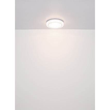 Globo - LED Stropna svjetiljka LED/24W/230V pr. 40 cm 4000K bijela