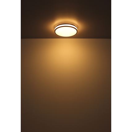 Globo - LED RGBW Prigušiva stropna svjetiljka LED/18W/230V 2700-6000K + daljinski upravljač