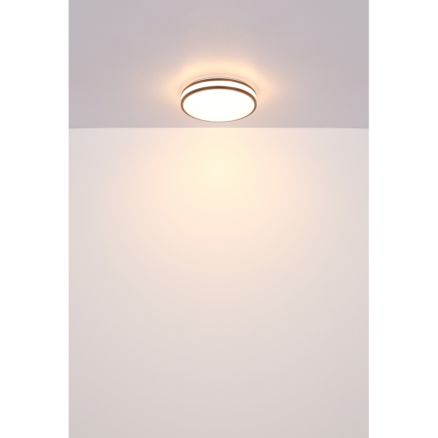 Globo - LED RGBW Prigušiva stropna svjetiljka LED/18W/230V 2700-6000K + daljinski upravljač