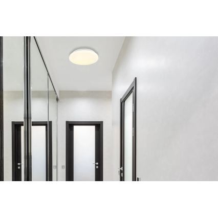 Globo - LED stropna svjetiljka LED/8W/230V 4000K Ø 55 cm