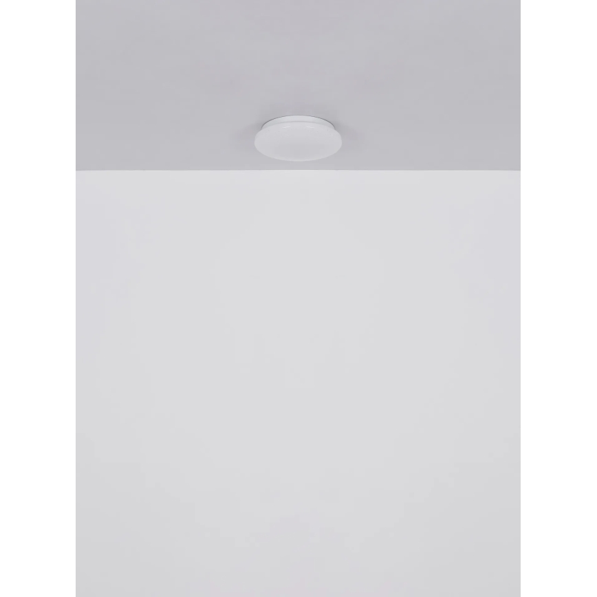 Globo - LED stropna svjetiljka LED/8W/230V 4000K Ø 55 cm