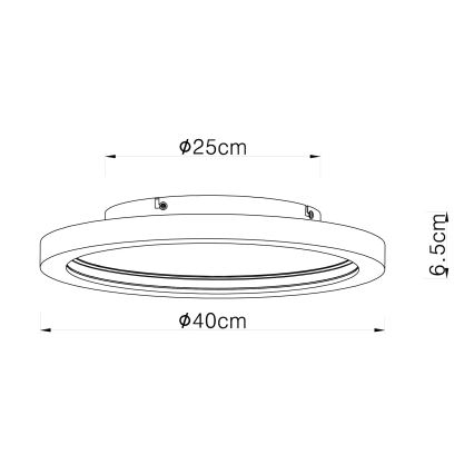 Globo - LED RGBW Prigušiva stropna svjetiljka LED/24W/230V 2700-6000K + daljinski upravljač