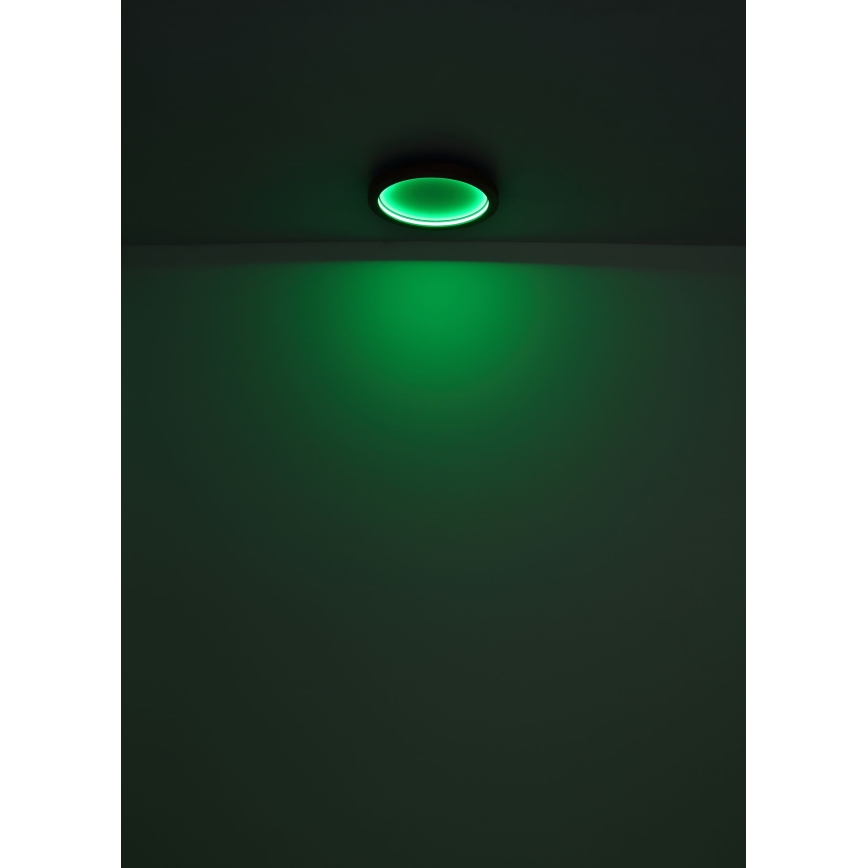 Globo - LED RGBW stropna svjetiljka s prigušivanjem LED/24W/230V 2700-6000K + daljinski upravljač
