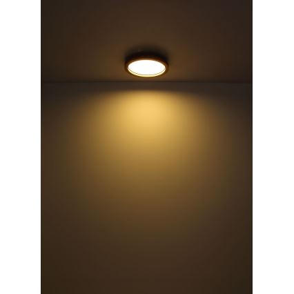 Globo - LED RGBW stropna svjetiljka s prigušivanjem LED/24W/230V 2700-6000K + daljinski upravljač
