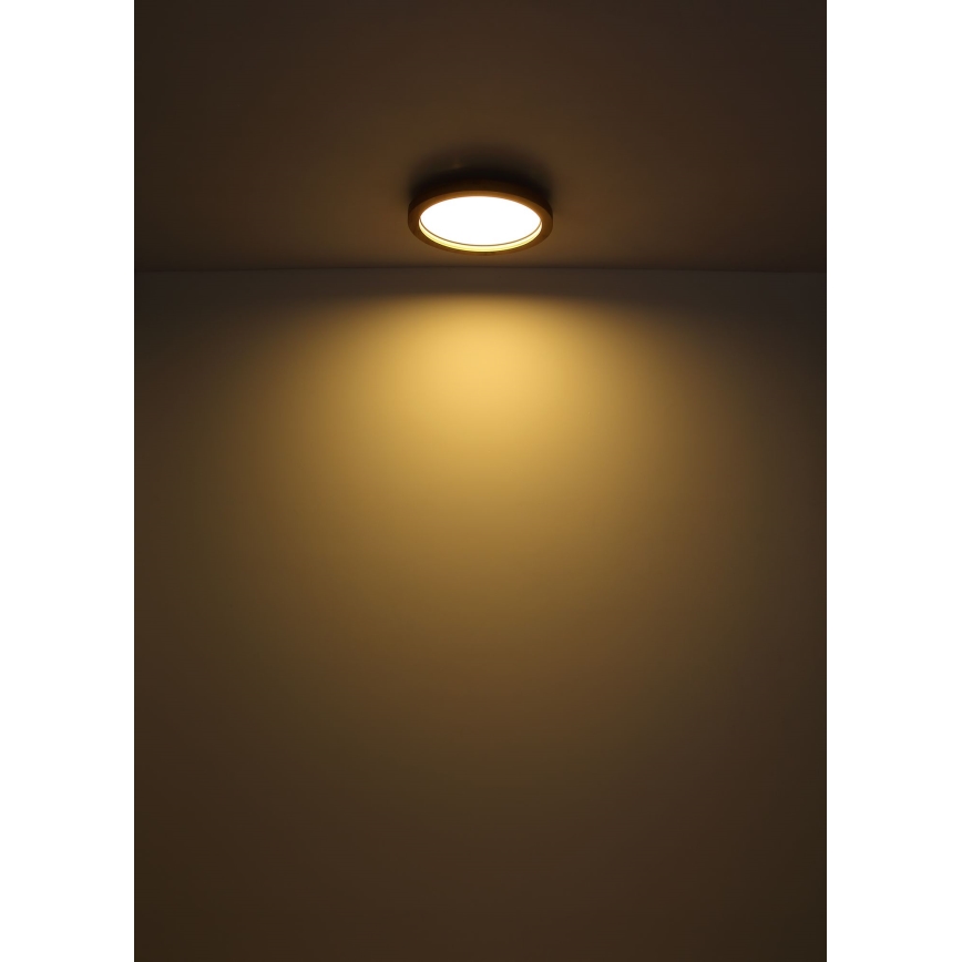 Globo - LED RGBW stropna svjetiljka s prigušivanjem LED/24W/230V 2700-6000K + daljinski upravljač