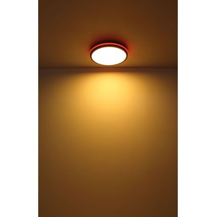Globo - LED RGBW stropna svjetiljka s prigušivanjem LED/40W/230V 2700-6500K + daljinski upravljač