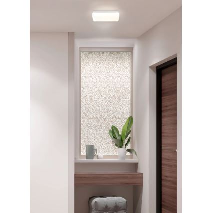 Globo - LED Stropna svjetiljka LED/12W/230V 3000/4200/6500K 28,5x13,5 cm