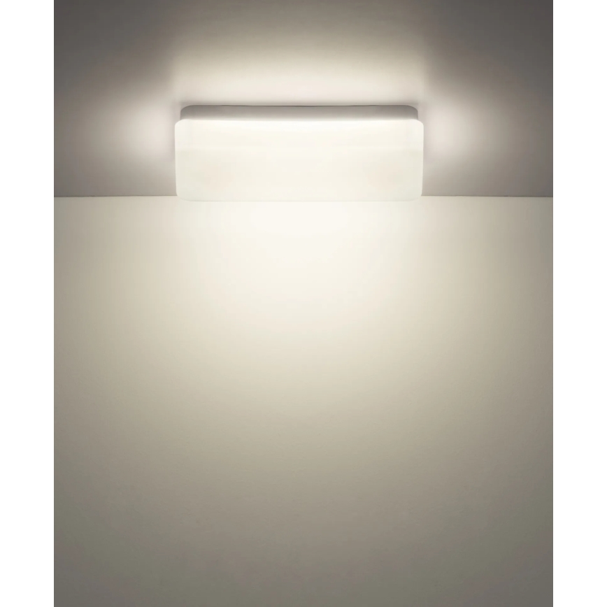 Globo - LED Stropna svjetiljka LED/12W/230V 3000/4200/6500K 28,5x13,5 cm
