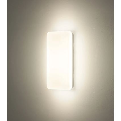Globo - LED Stropna svjetiljka LED/12W/230V 3000/4200/6500K 28,5x13,5 cm