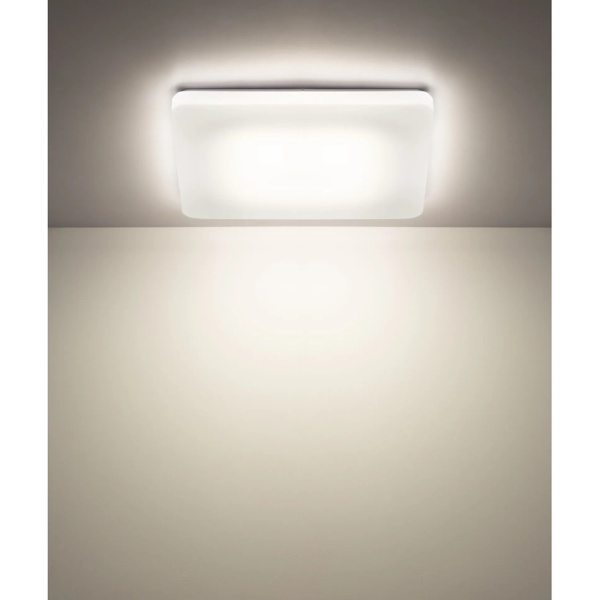 Globo - LED stropna svjetiljka LED/24W/230V 3000/4200/6500K 41x41 cm