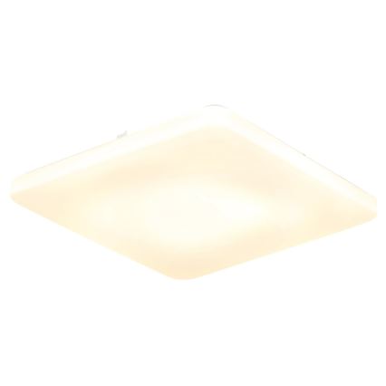 Globo - LED stropna svjetiljka LED/24W/230V 3000/4200/6500K 41x41 cm