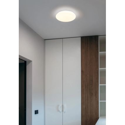 Globo - LED stropna svjetiljka LED/12W/230V 3000/4200/6500K Ø 26 cm