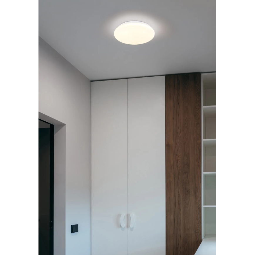 Globo - LED stropna svjetiljka LED/12W/230V 3000/4200/6500K Ø 26 cm
