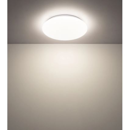 Globo - LED stropna svjetiljka LED/12W/230V 3000/4200/6500K Ø 26 cm