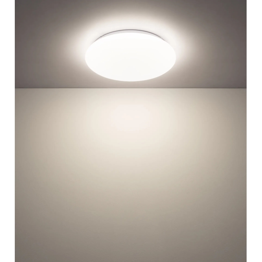 Globo - LED stropna svjetiljka LED/12W/230V 3000/4200/6500K Ø 26 cm
