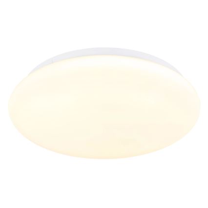 Globo - LED stropna svjetiljka LED/12W/230V 3000/4200/6500K Ø 26 cm