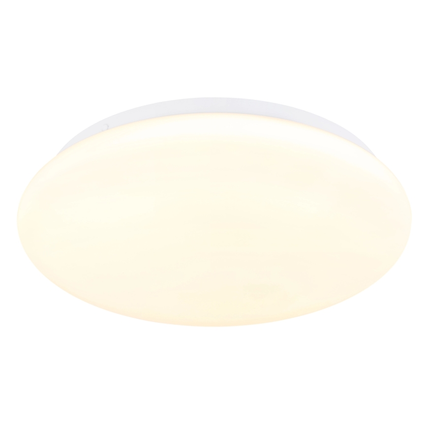 Globo - LED stropna svjetiljka LED/12W/230V 3000/4200/6500K Ø 26 cm