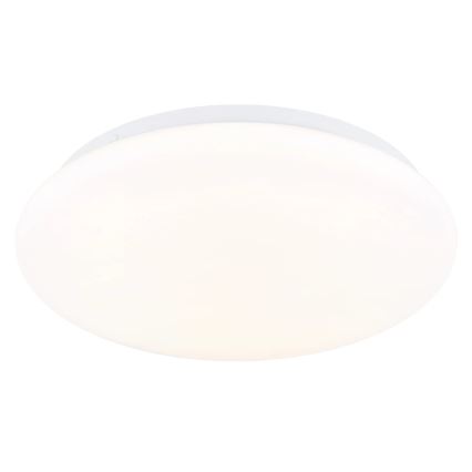 Globo - LED stropna svjetiljka LED/12W/230V 3000/4200/6500K Ø 26 cm