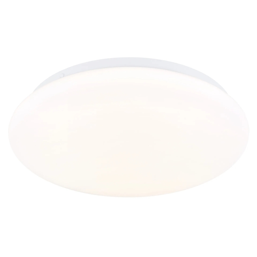 Globo - LED stropna svjetiljka LED/12W/230V 3000/4200/6500K Ø 26 cm