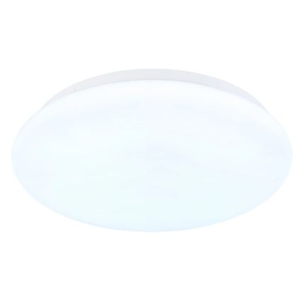 Globo - LED stropna svjetiljka LED/12W/230V 3000/4200/6500K Ø 26 cm