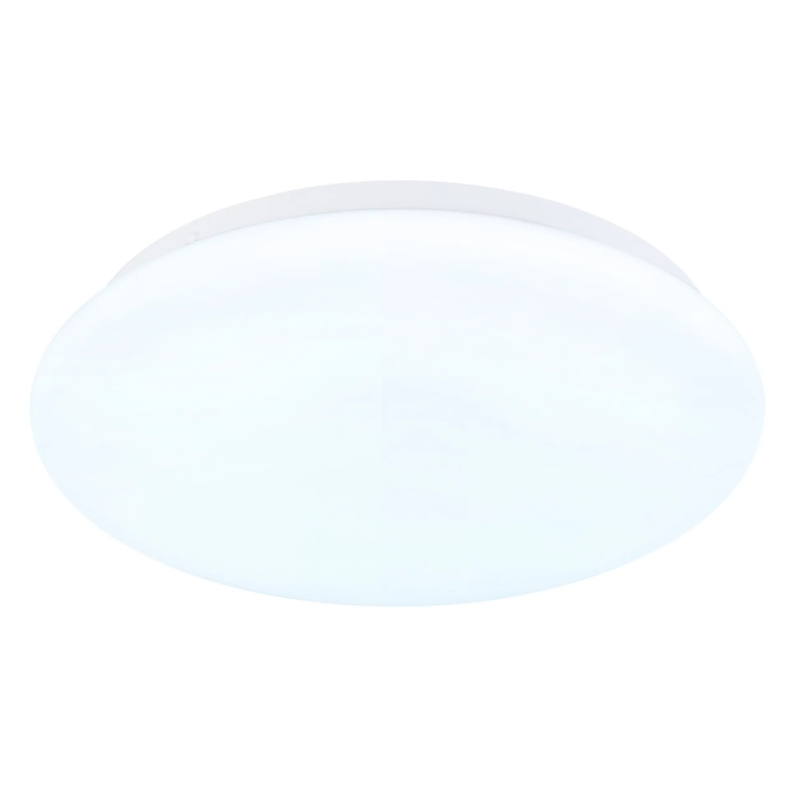 Globo - LED stropna svjetiljka LED/12W/230V 3000/4200/6500K Ø 26 cm