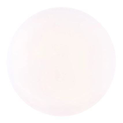 Globo - LED stropna svjetiljka LED/12W/230V 3000/4200/6500K Ø 26 cm