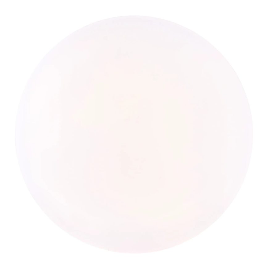 Globo - LED stropna svjetiljka LED/12W/230V 3000/4200/6500K Ø 26 cm