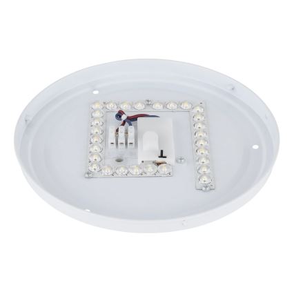 Globo - LED stropna svjetiljka LED/12W/230V 3000/4200/6500K Ø 26 cm