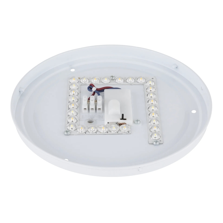 Globo - LED stropna svjetiljka LED/12W/230V 3000/4200/6500K Ø 26 cm