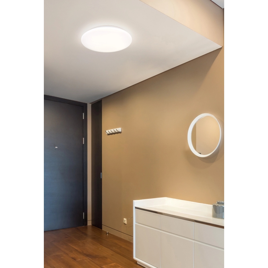 Globo - LED stropna svjetiljka LED/24W/230V 3000/4200/6500K Ø 40 cm
