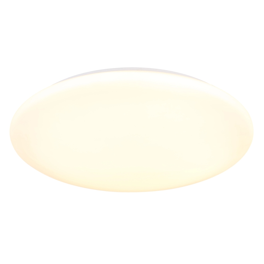 Globo - LED stropna svjetiljka LED/24W/230V 3000/4200/6500K Ø 40 cm