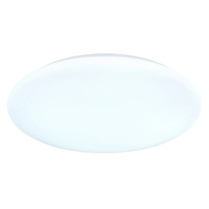 Globo - LED stropna svjetiljka LED/24W/230V 3000/4200/6500K Ø 40 cm