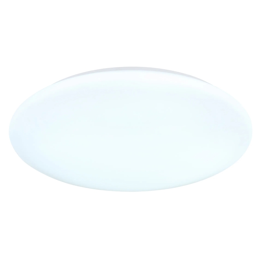 Globo - LED stropna svjetiljka LED/24W/230V 3000/4200/6500K Ø 40 cm