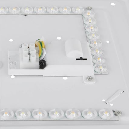 Globo - LED stropna svjetiljka LED/24W/230V 3000/4200/6500K Ø 40 cm