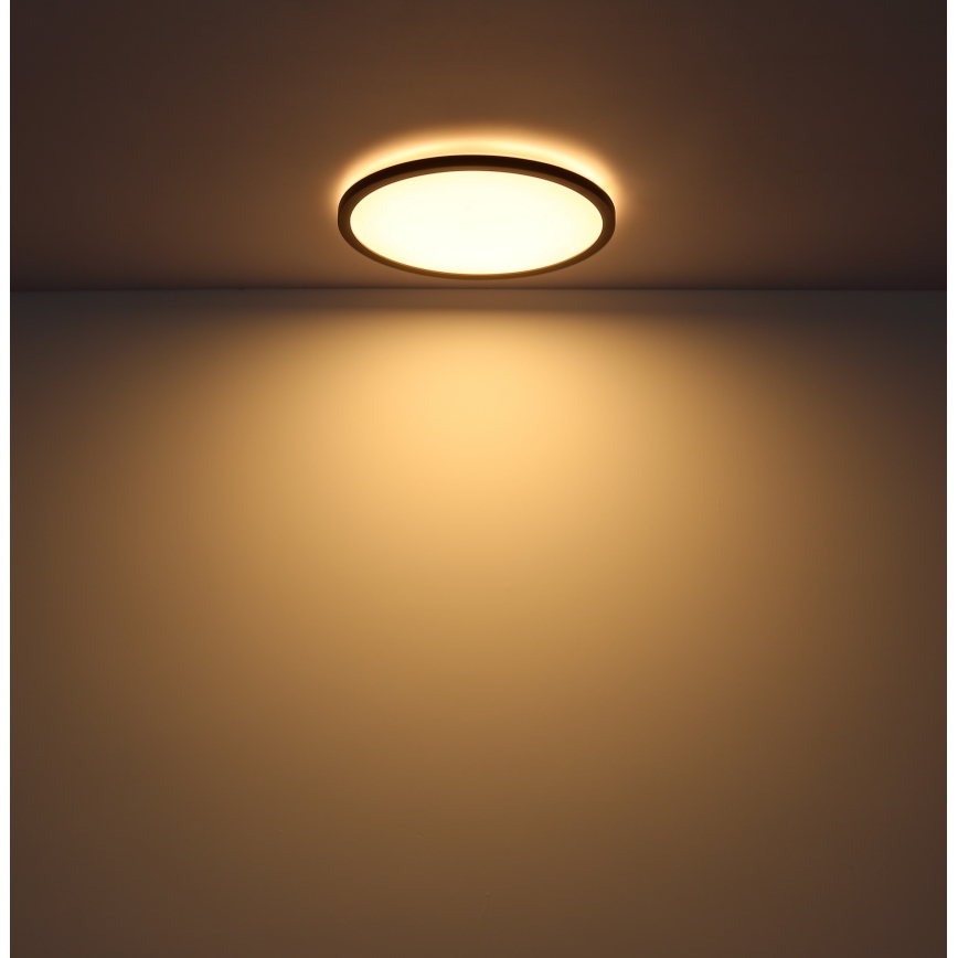 Globo - LED Prigušiva stropna svjetiljka za kupaonicu LED/18W/230V pr. 29,4 cm IP44 crna