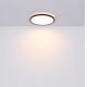Globo - LED Prigušiva stropna svjetiljka za kupaonicu LED/18W/230V pr. 29,4 cm IP44 crna